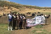 سردشت : برگزاری اردوی جهادی دامپزشکی در روستاهای صعب العبور